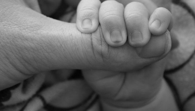 Permiso de paternidad 2017